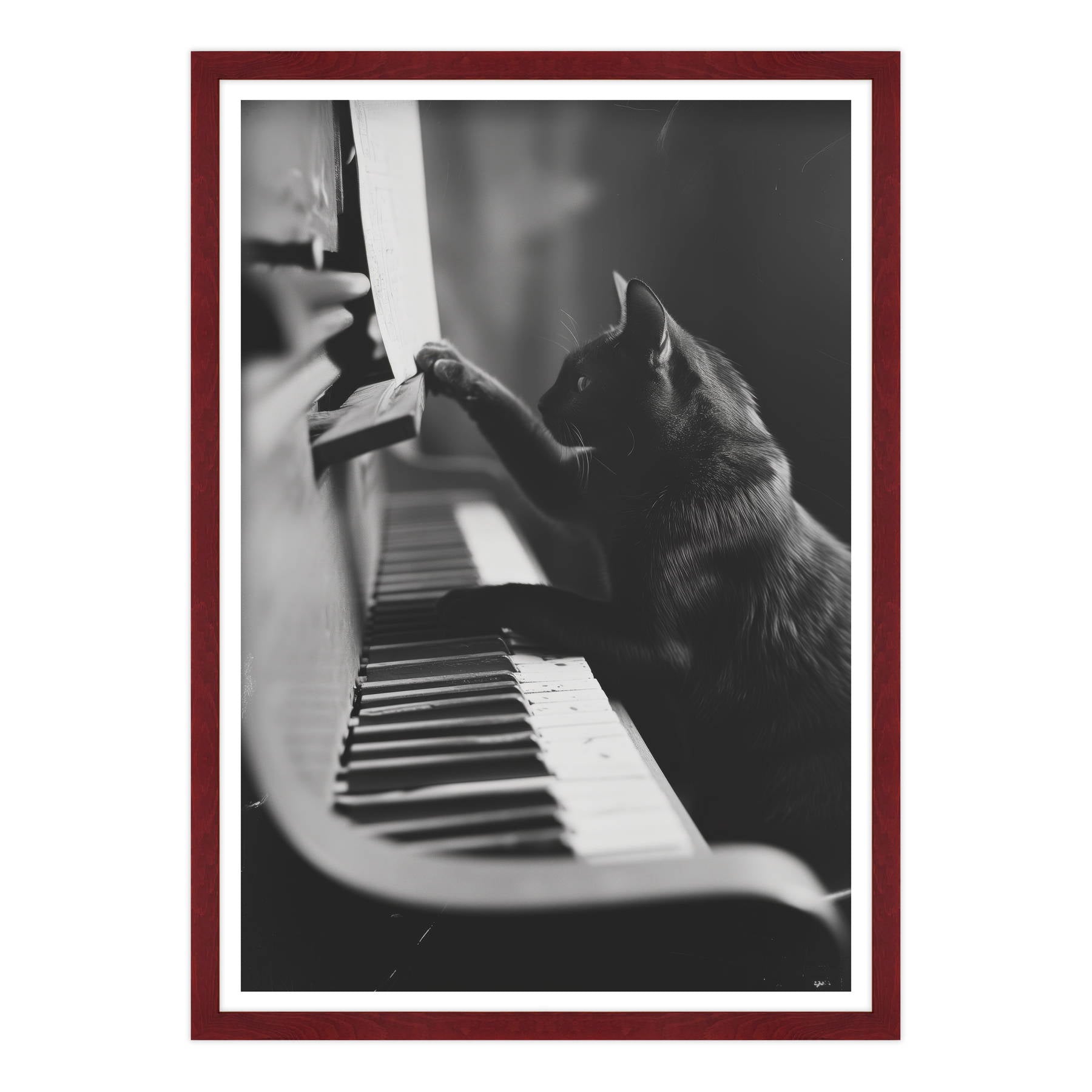 Il Musicista Quattrozampe