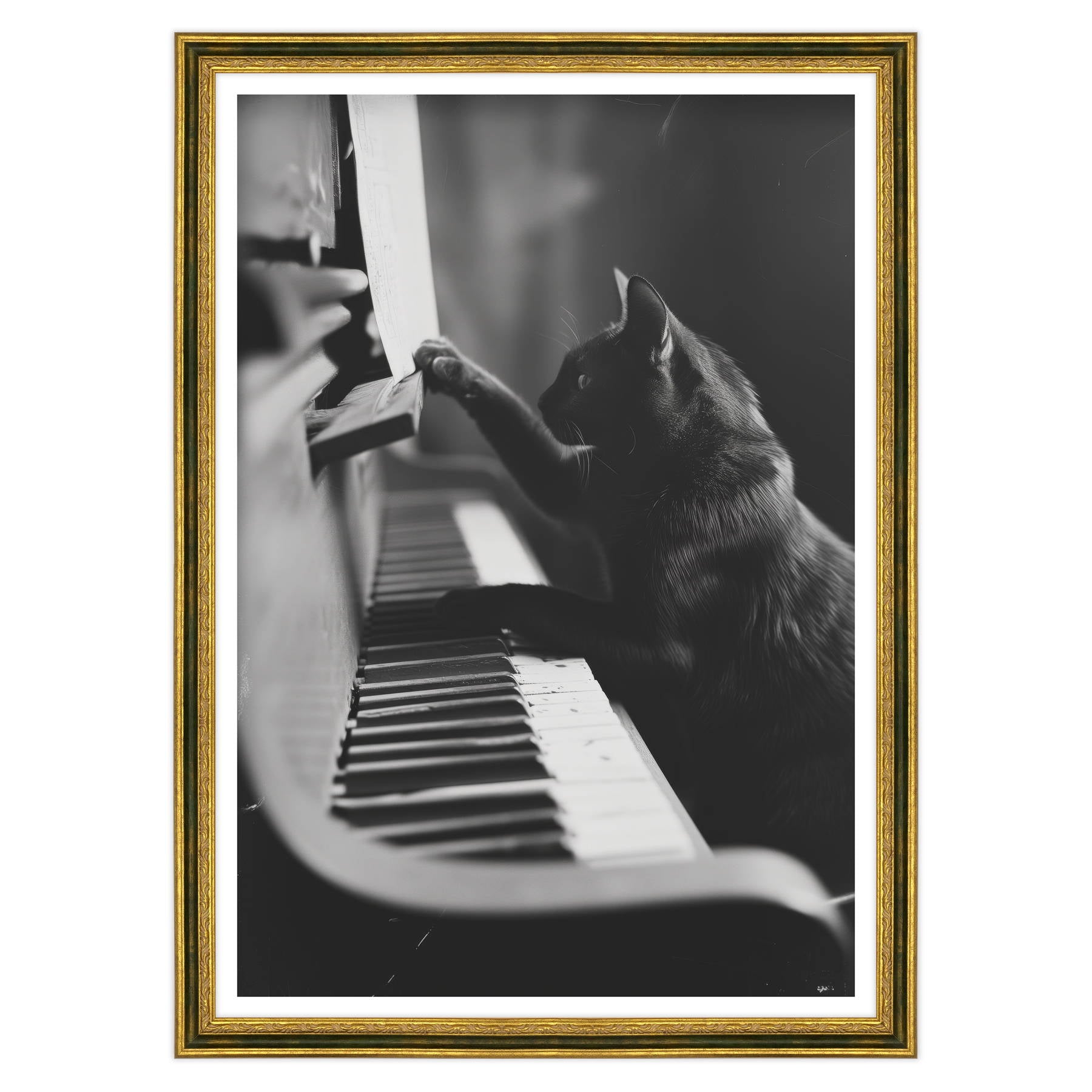 Il Musicista Quattrozampe