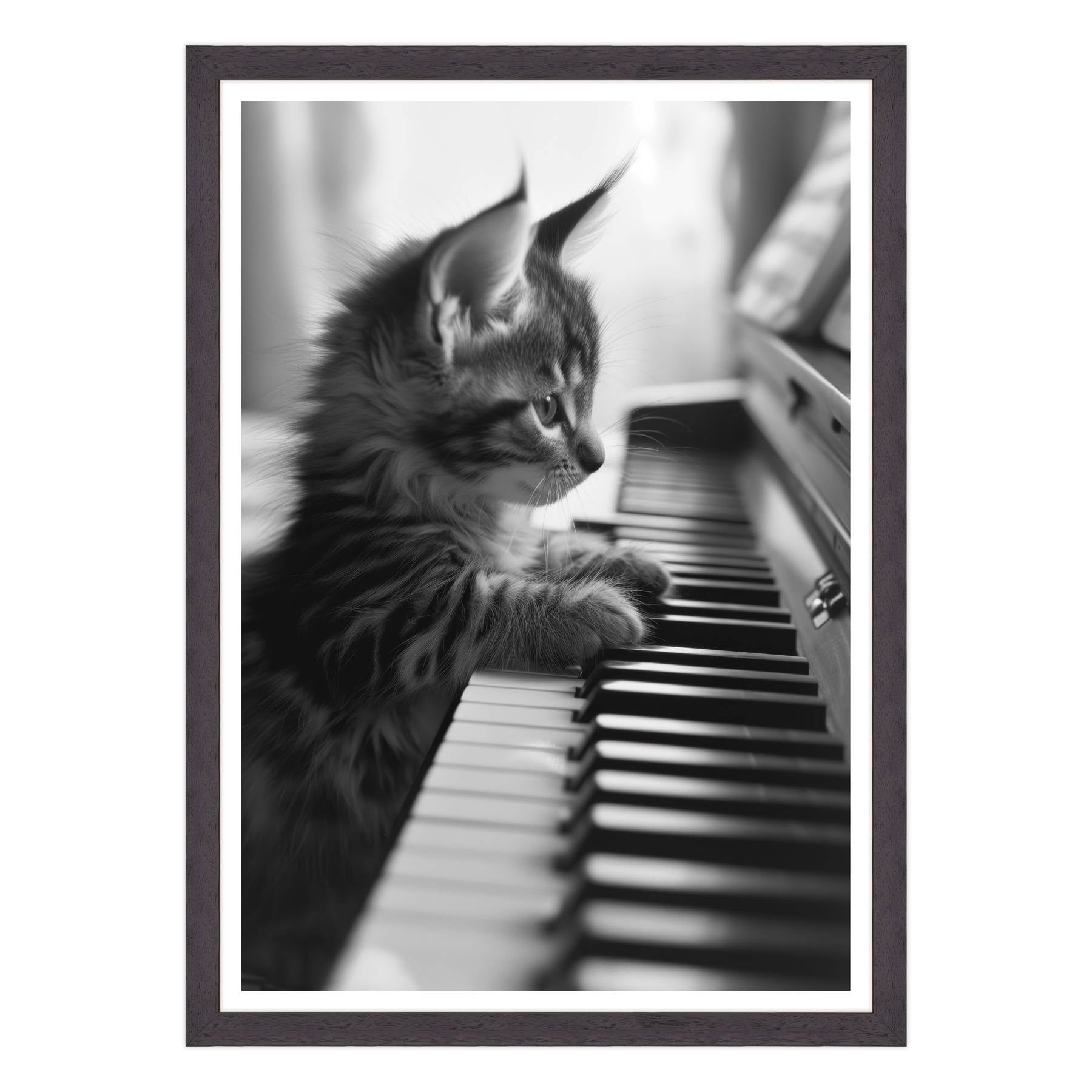 Eleganza Classica: Il Virtuoso Micio